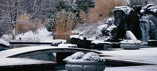 a Chicago garden in winter